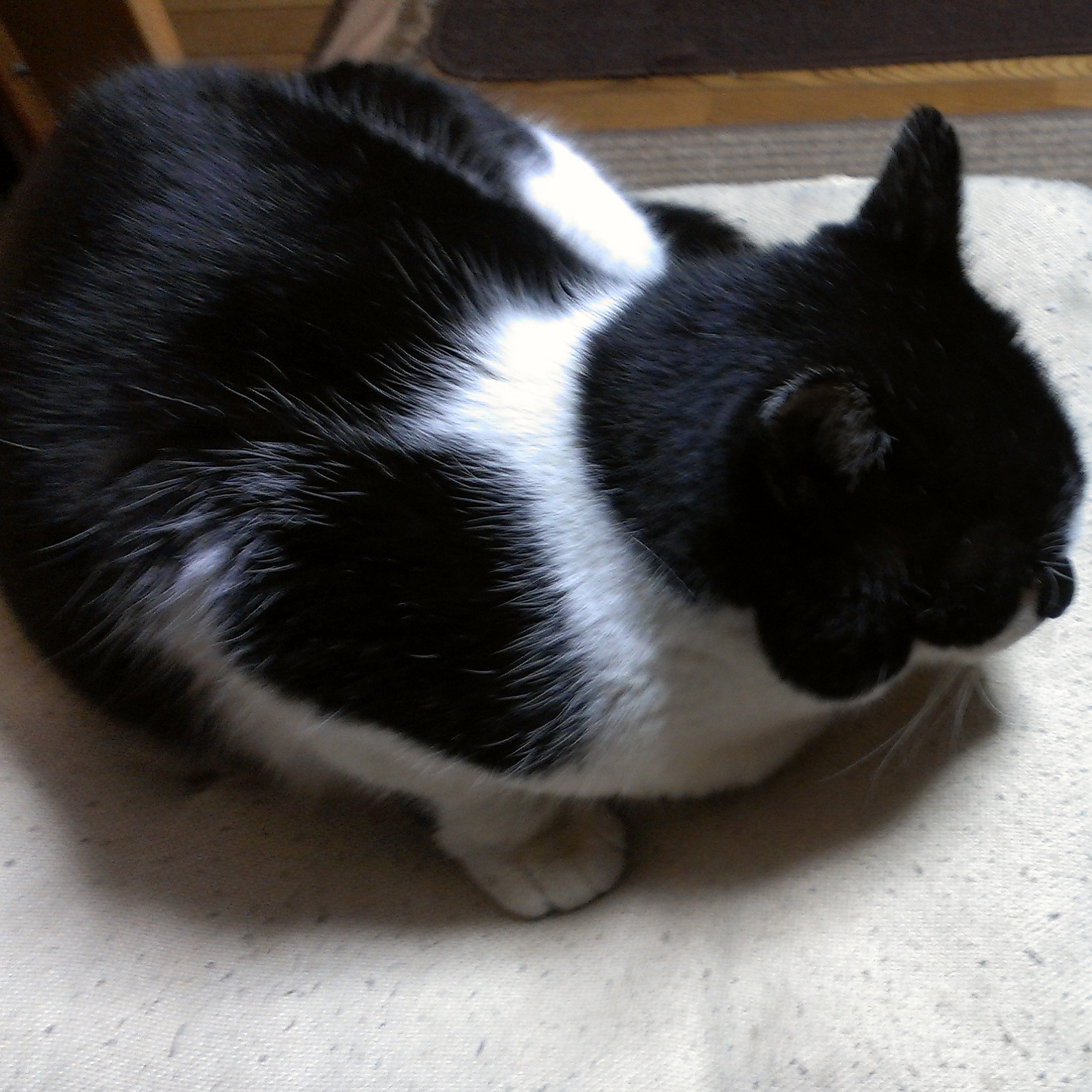 プロフィール画像